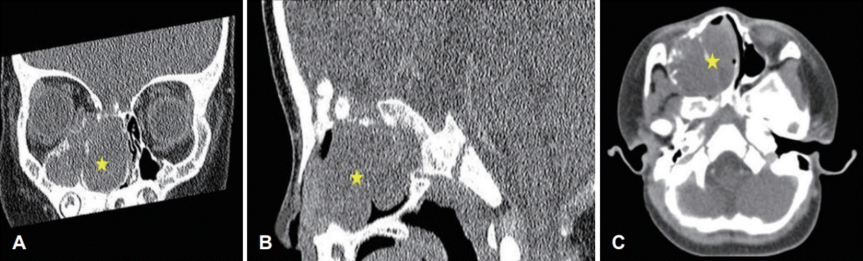 Fig. 7.