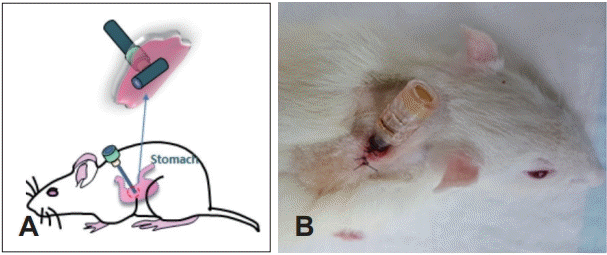 Fig. 1.