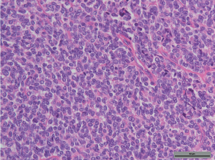 kjorl-hns-2016-16187f3.gif