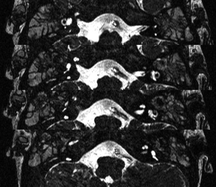 Fig. 3.