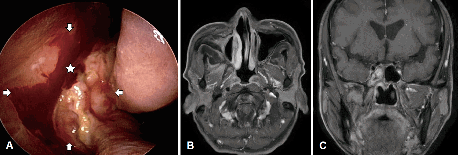 Fig. 5.