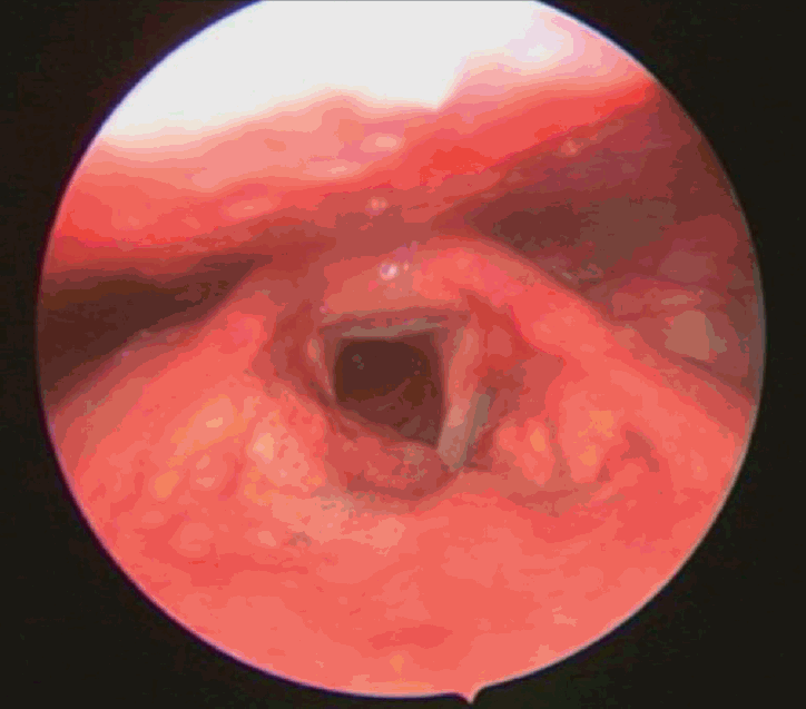 Fig. 4.