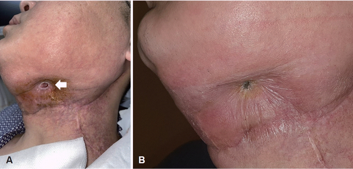 Fig. 8.