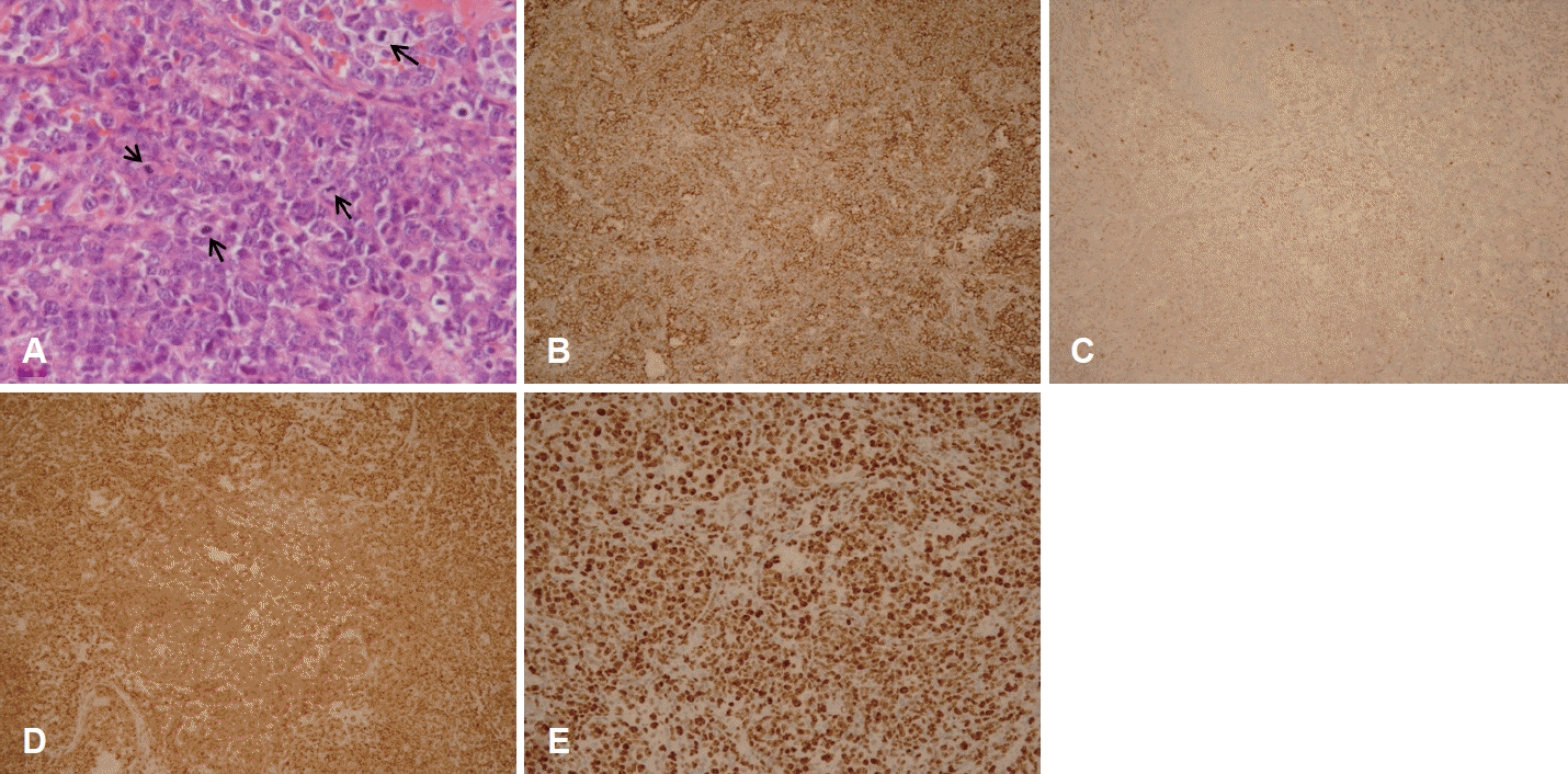 Fig. 3.