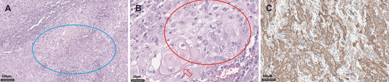 Fig. 5.