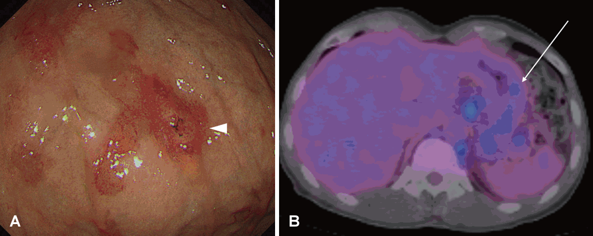 Fig. 3.