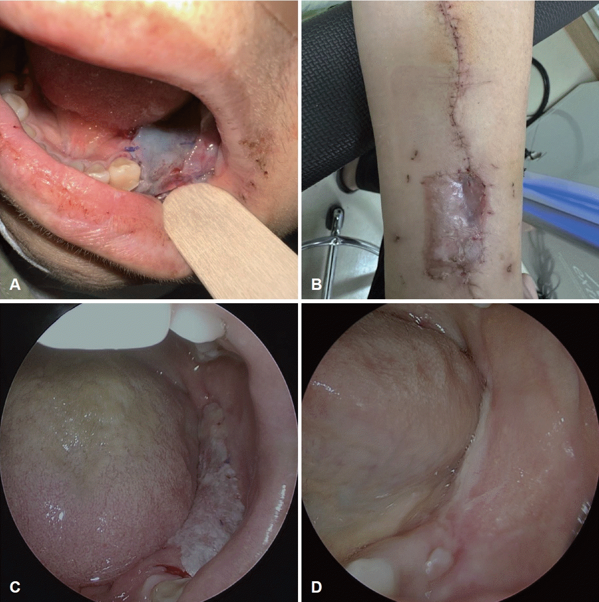 Fig. 6.
