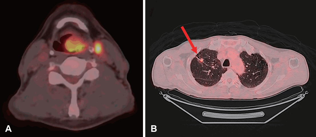 Fig. 8.
