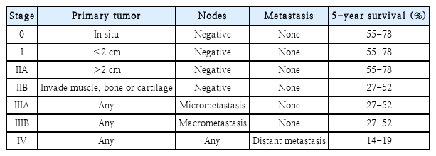 t1-kjorl-hns-2020-00696.png