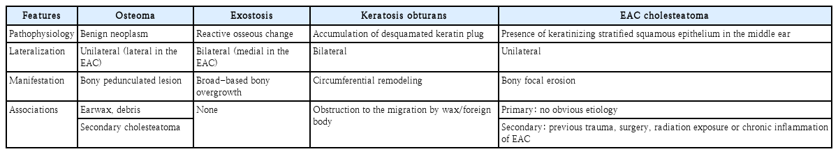 t1-kjorl-hns-2025-00199.png