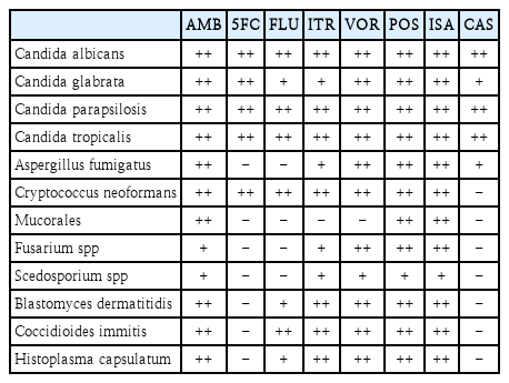 t1-kjorl-hns-2025-00213.png