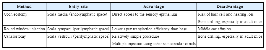 t2-kjorl-hns-2020-00836.png